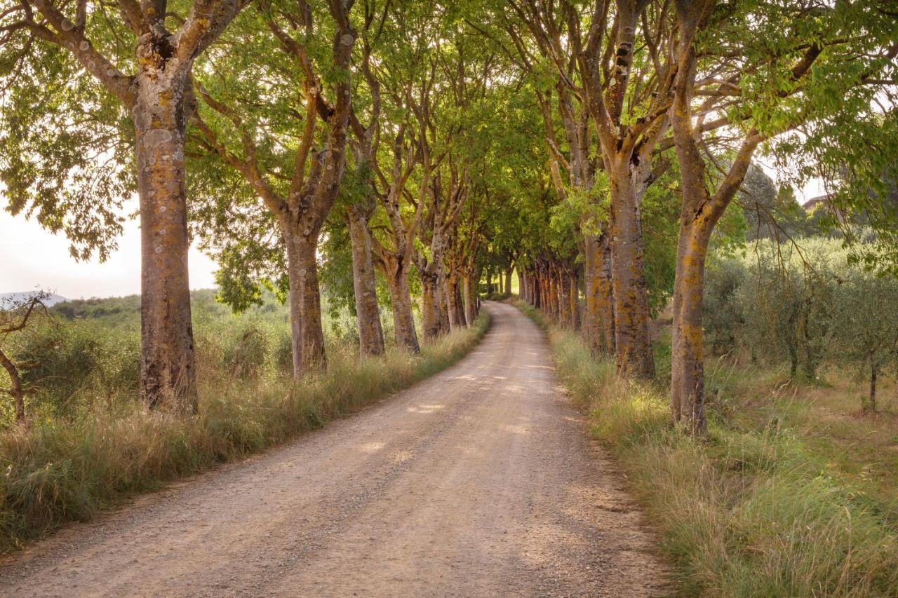 Borgo Villa Certano - Case Vacanza In Toscana Siena Exterior foto